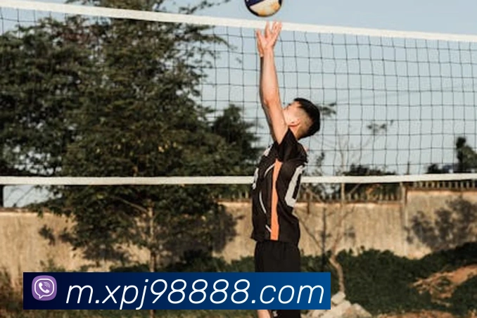 xpj全站App xpj全站App